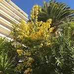 Super Cannes Front De Luxueux Vue Unique Διαμέρισμα Vallauris
