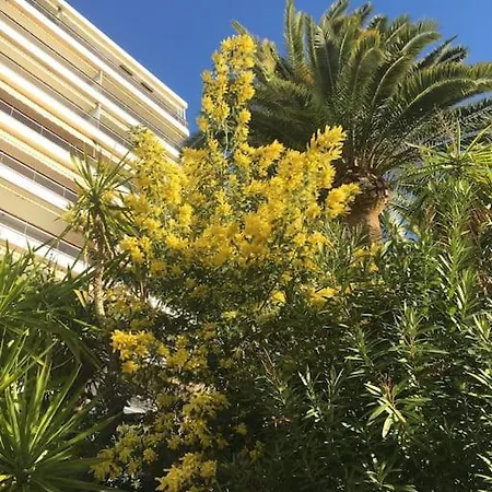 Super Cannes Front De Luxueux Vue Unique Lejlighed Vallauris